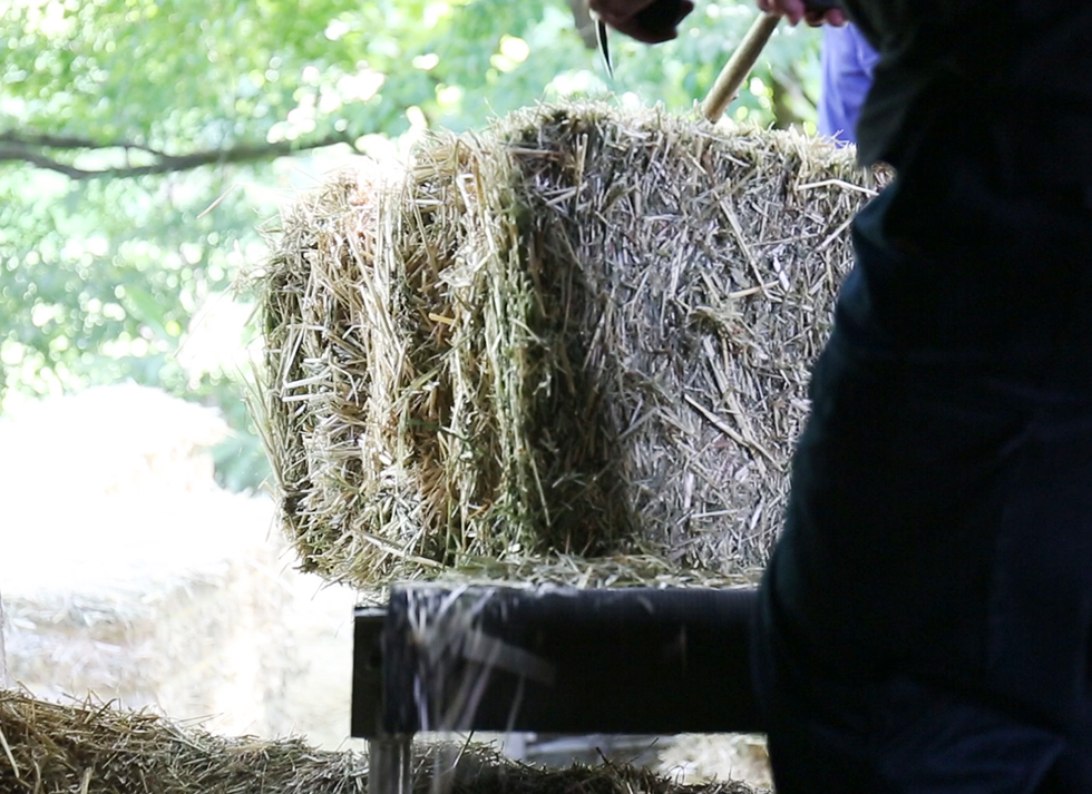 有限会社越後飼料